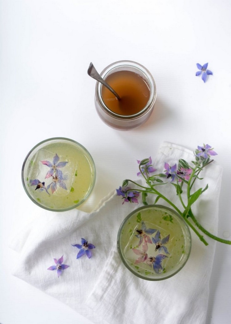 cocktail d'été avec fleurs idée originale boisson alcoolisé estival