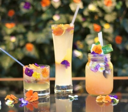 cocktail d'été frais avec fleurs idée comment organiser fête jardin bar boisson original