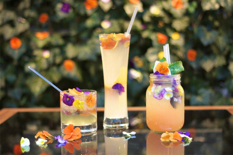 cocktail d'été frais avec fleurs idée comment organiser fête jardin bar boisson original
