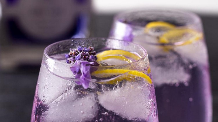 cocktail d'été gin tonic lavande recette estivale