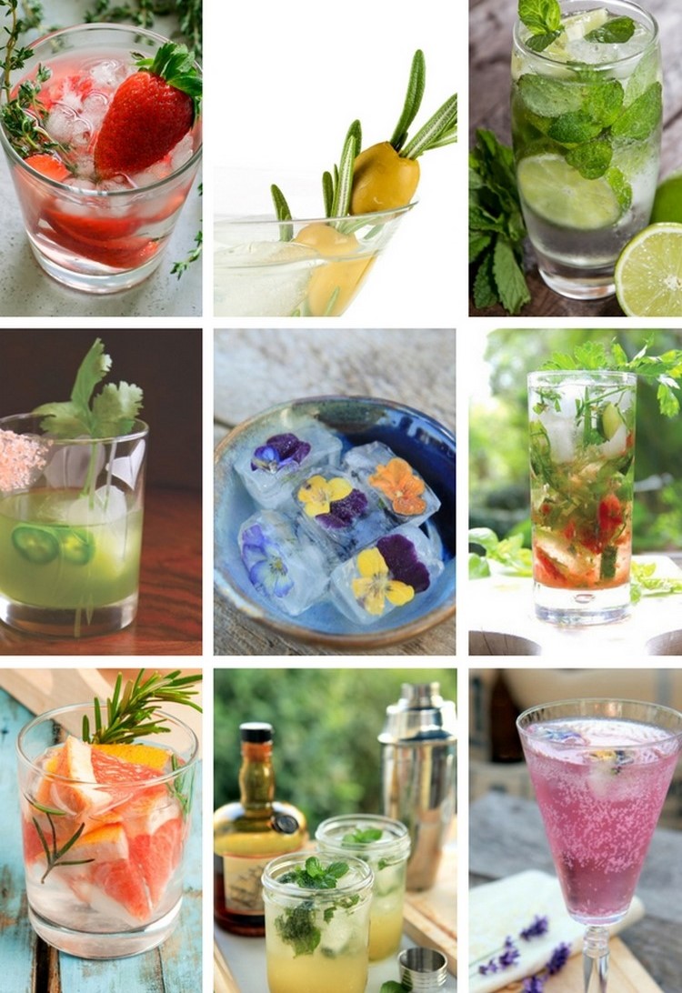 cocktail d'été top recettes parfaites période estivale boissons alcoolisés gourmands