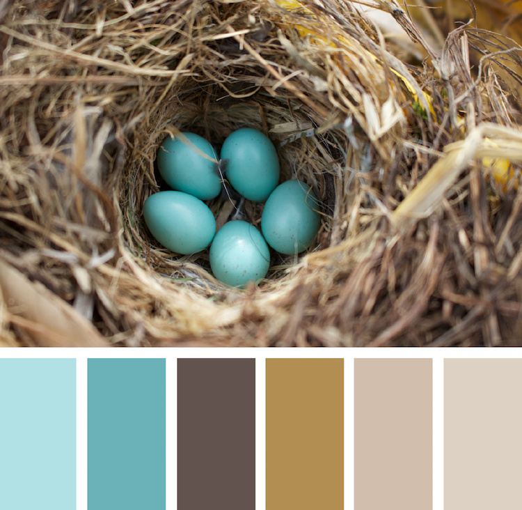 couleurs table Paques inspirée par un nid et des oeufs araucana