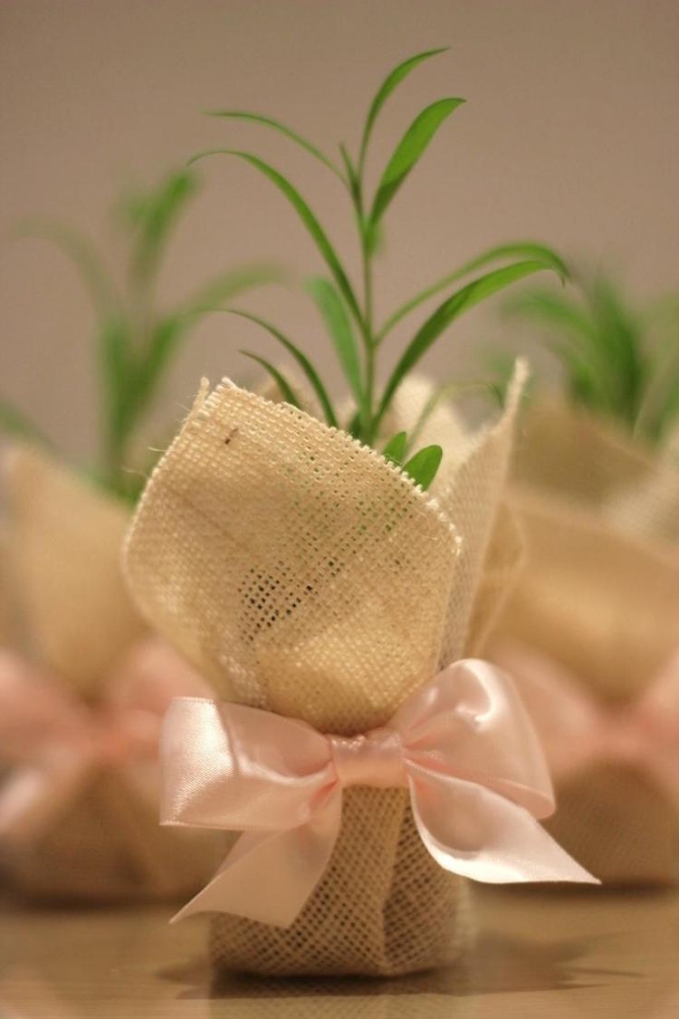 décoration de bapteme pour fille - petit cadeau invité à replanter
