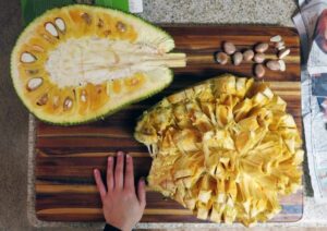 fruit du jacquier définition bienfaits santé mode préparation recette