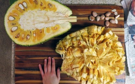 fruit du jacquier définition bienfaits santé mode préparation recette