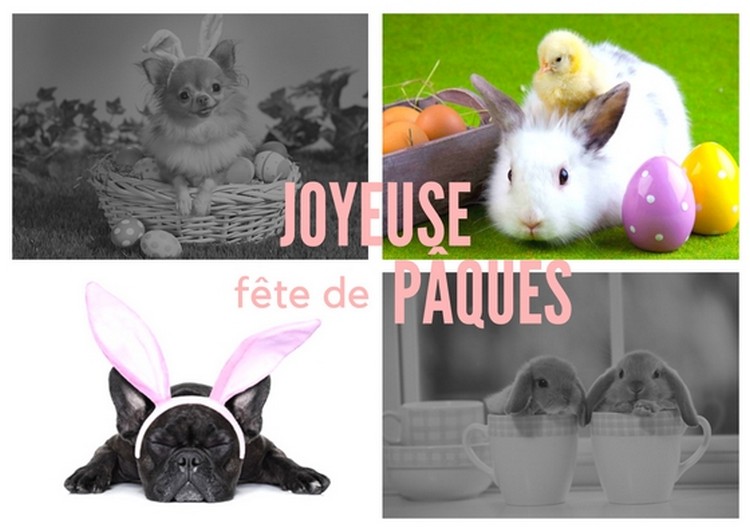images de Pâques à télécharger animaux pascals idées sauvegarder partager