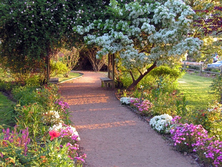 jardin romantique allée bordée de fleurs
