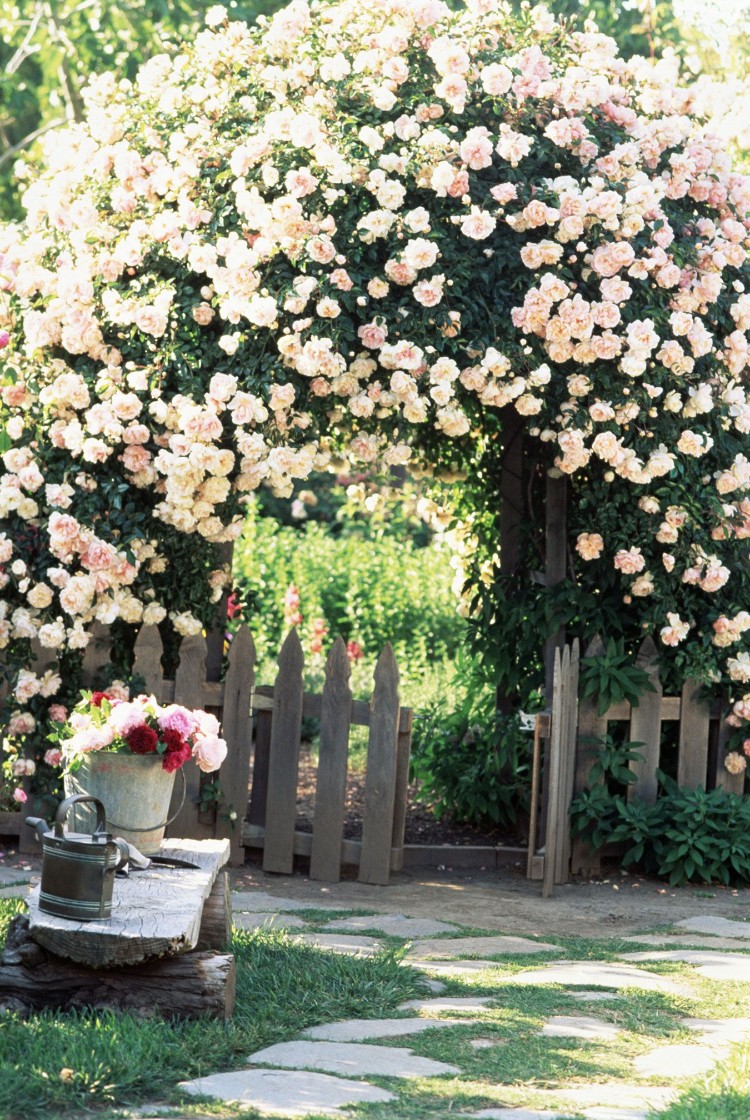jardin romantique arc de roses