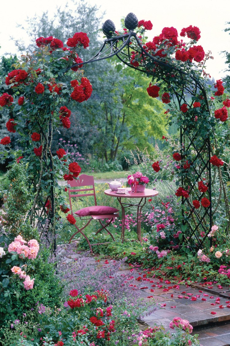 jardin romantique arc roses