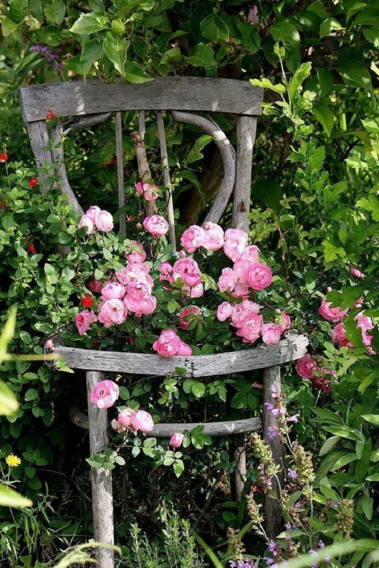jardin romantique chaise en bois roses