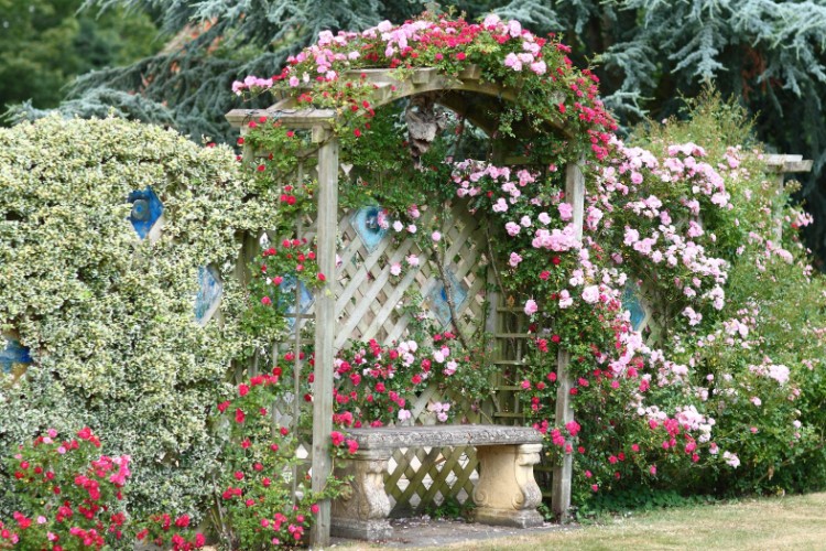 jardin romantique idée mirobolante