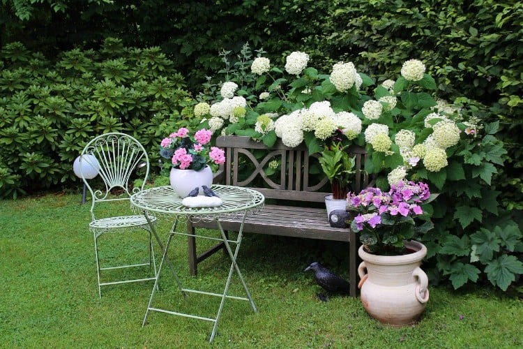 jardin romantique pot de fleurs