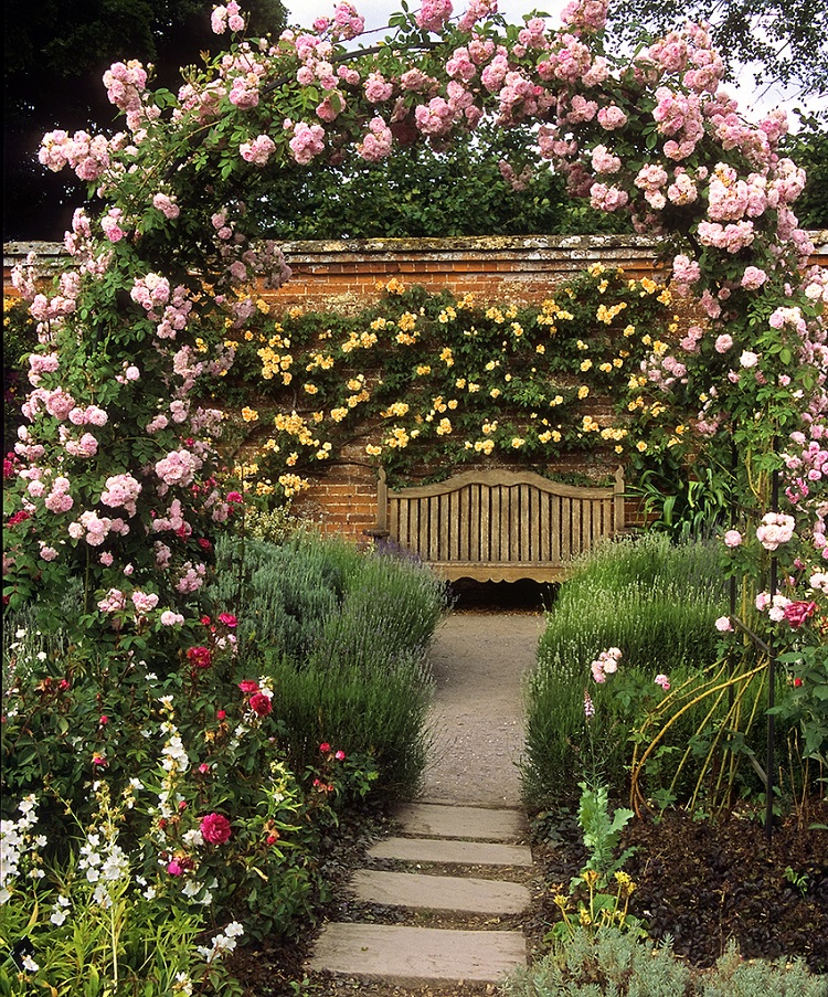 jardin romantique roses jaunes