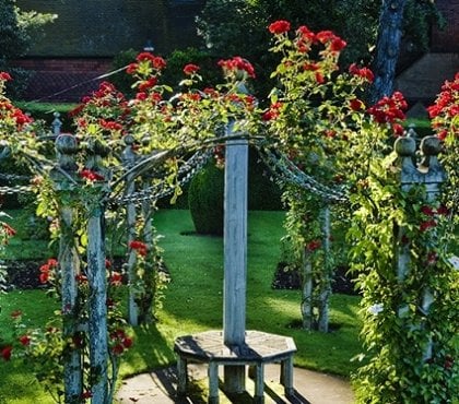 jardin romantique roses rouges