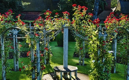 jardin romantique roses rouges