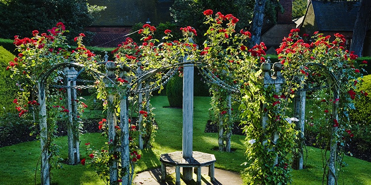 jardin romantique roses rouges