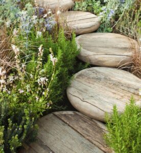 marches jardin rondes bois