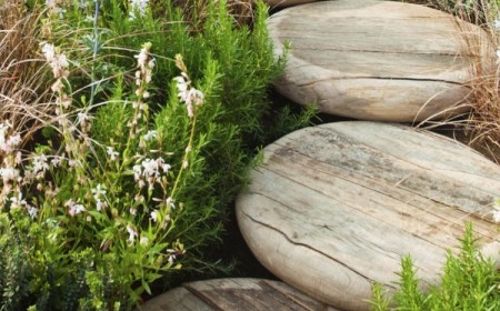 marches jardin rondes bois