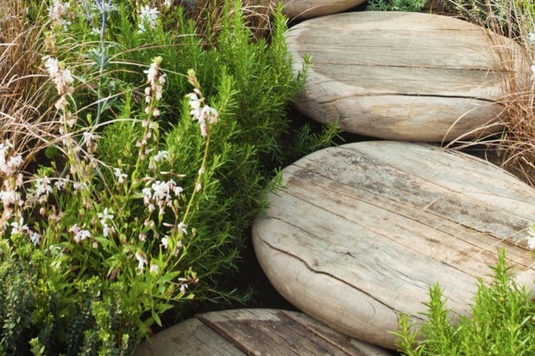 marches jardin rondes bois