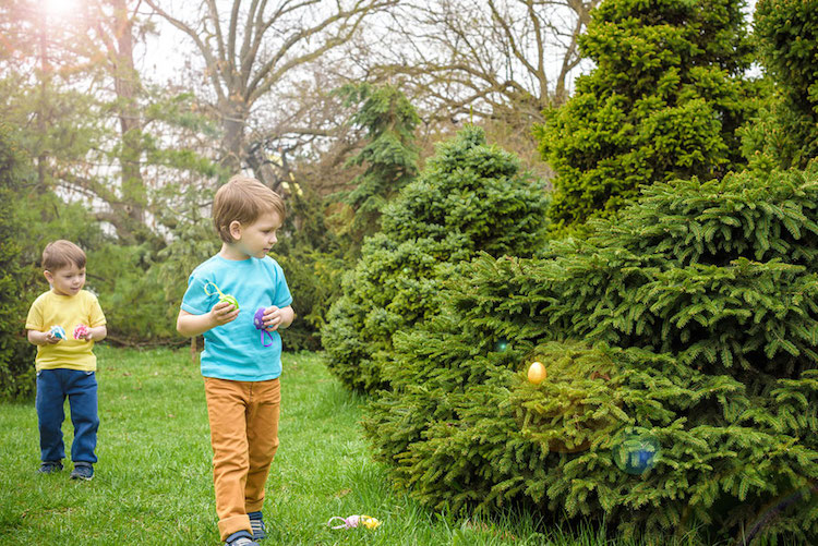 organiser une chasse aux œufs de Pâques plein air jardin