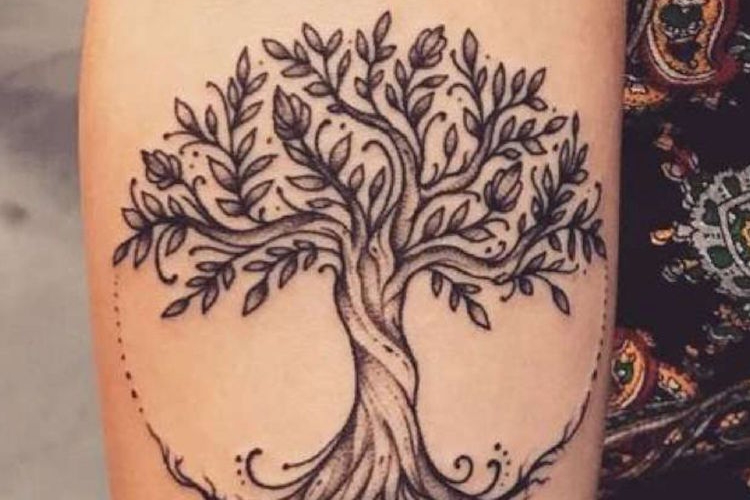 Tatouage arbre de vie - modèles populaires et signification arbre de vie
