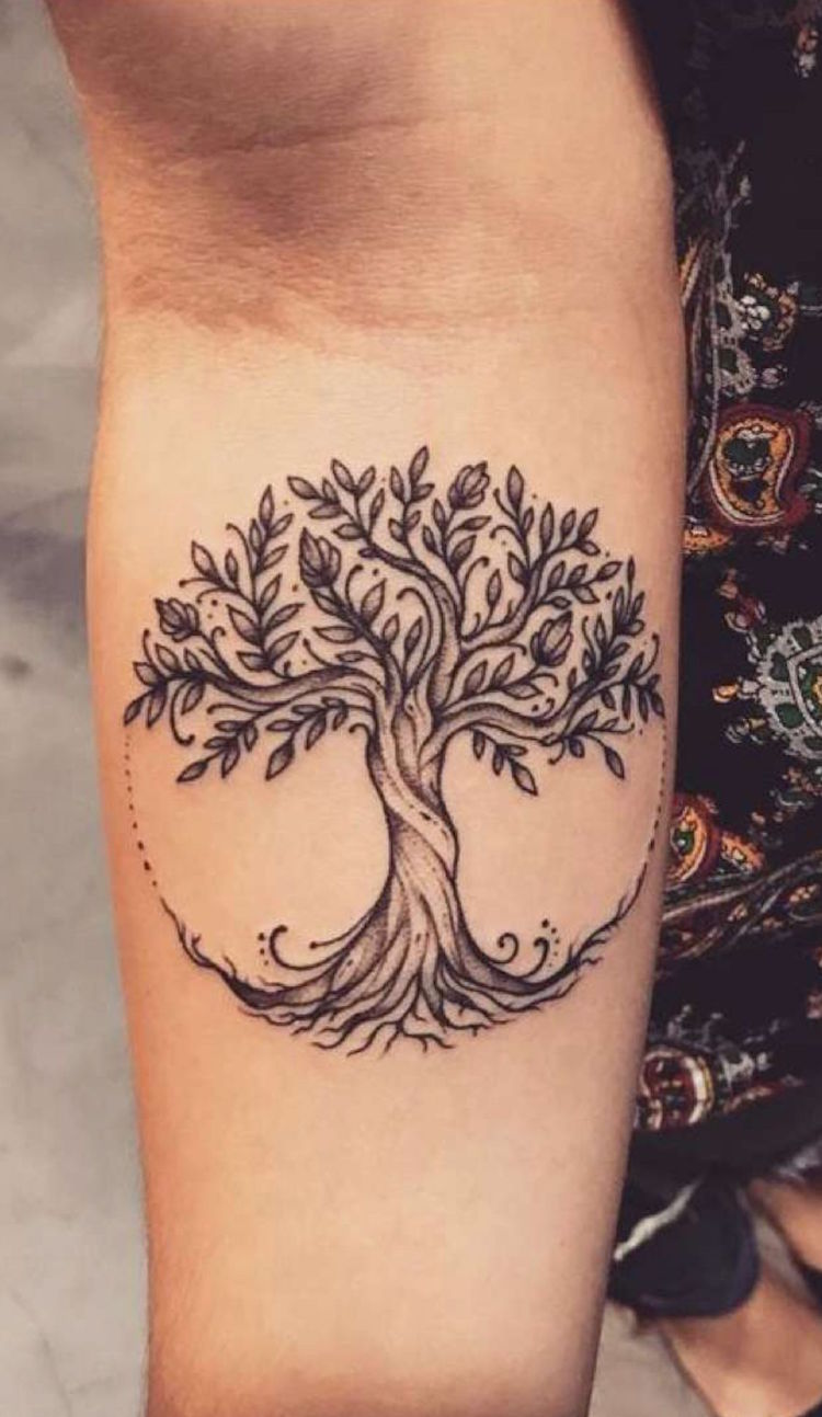 tatouage arbre de vie celtique avant bras