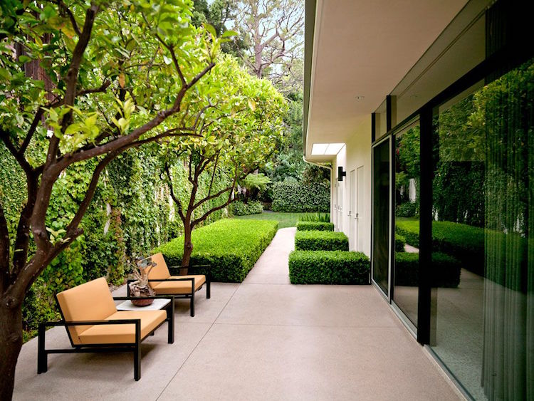 amenagement jardin geometrique carre buis terrasse moderne