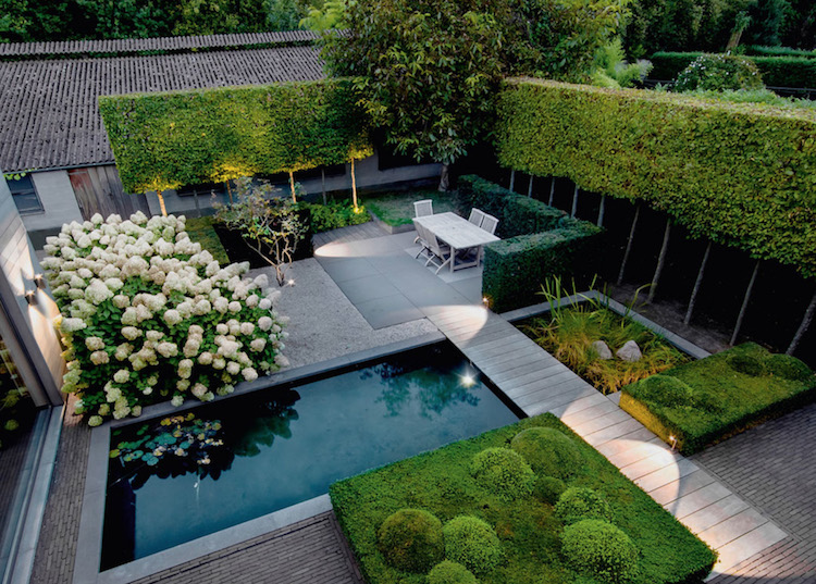 amenagement jardin geometrique moderne buis boule arbres ornement bassin de jardin moderne hortensia blanc