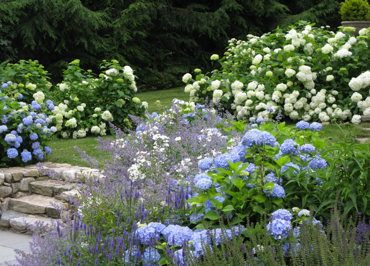associer les couleurs au jardin bleu et blanc