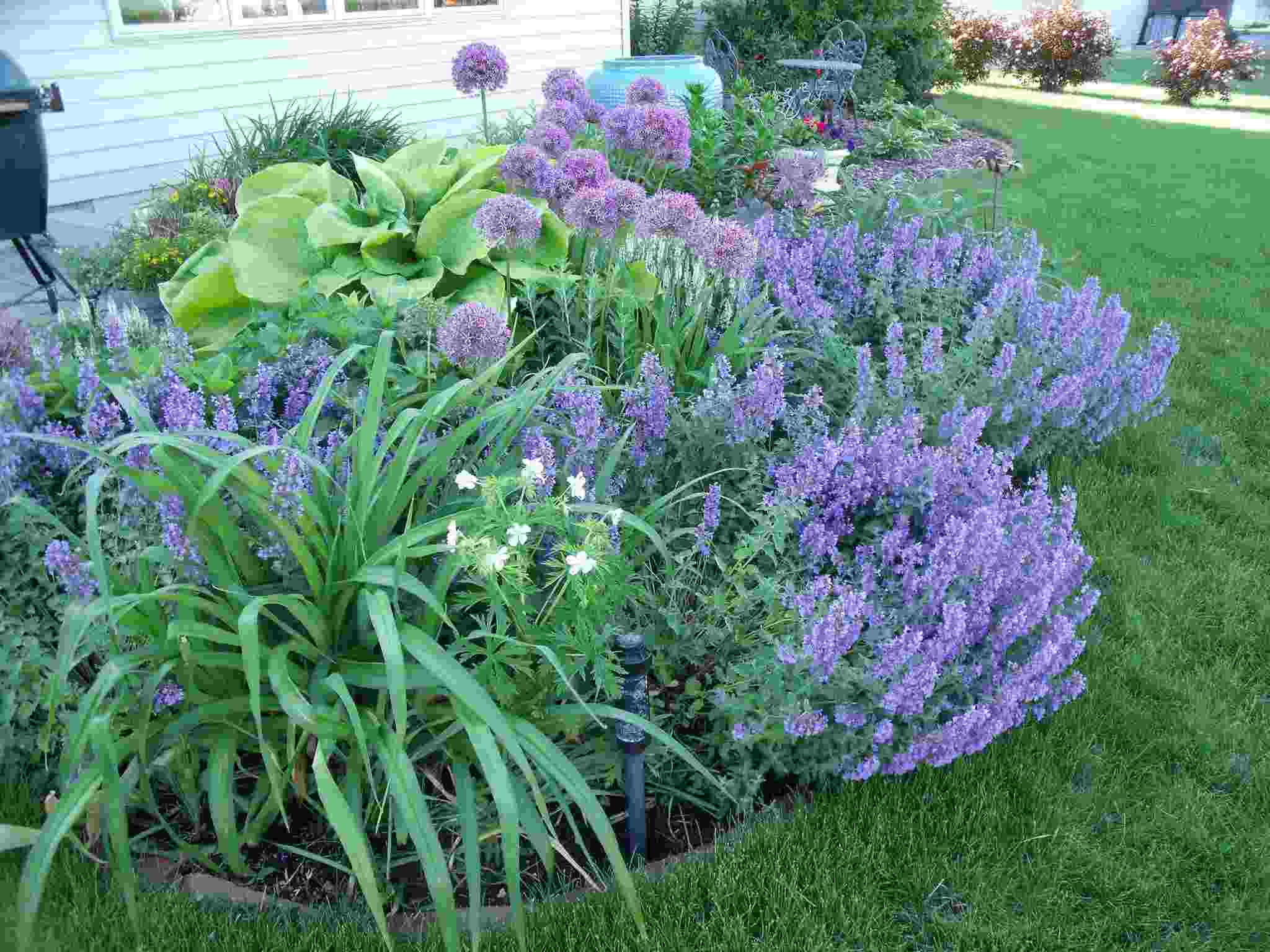 associer les couleurs au jardin parterres de fleurs