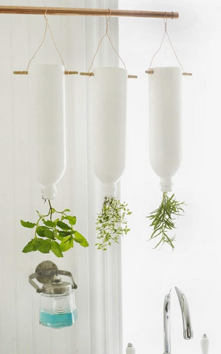 cultiver des plantes aromatiques dans la cuisine bouteilles suspendues