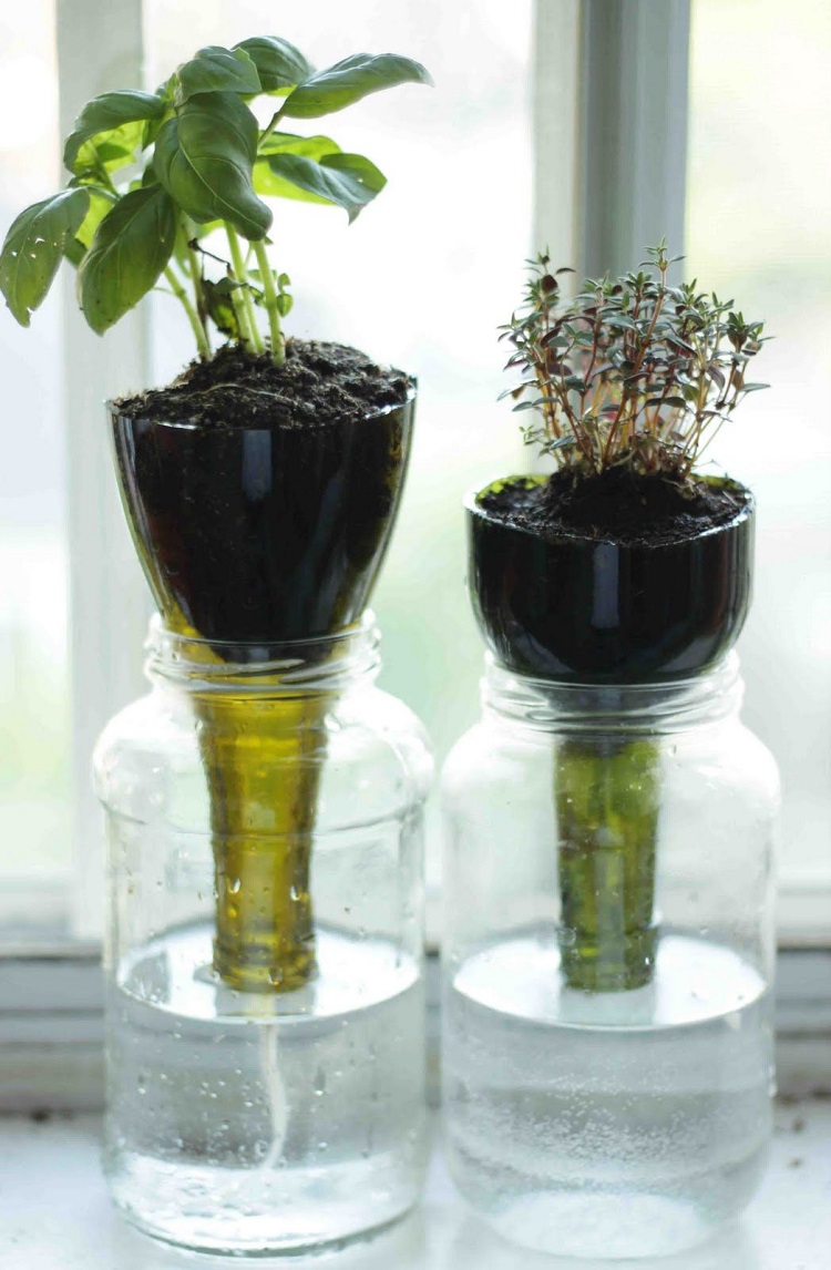 cultiver des plantes aromatiques dans la cuisine idées