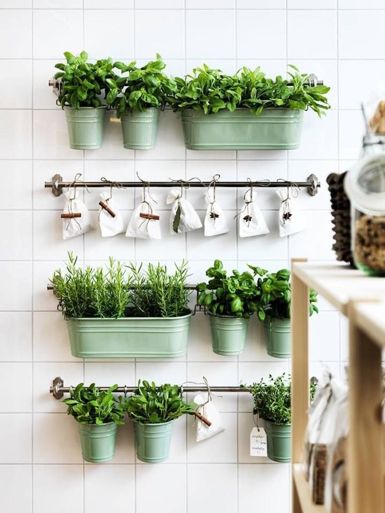 cultiver des plantes aromatiques dans la cuisine pots suspendus