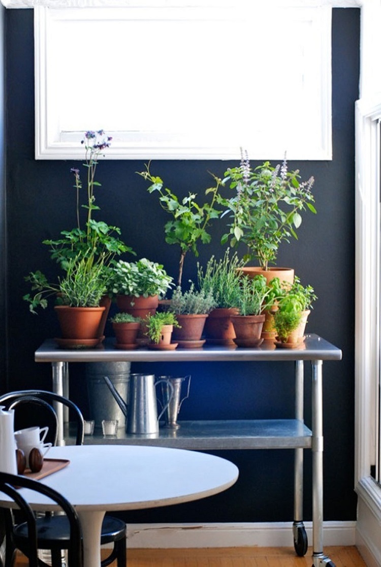 cultiver des plantes aromatiques dans la cuisine table à roulettes