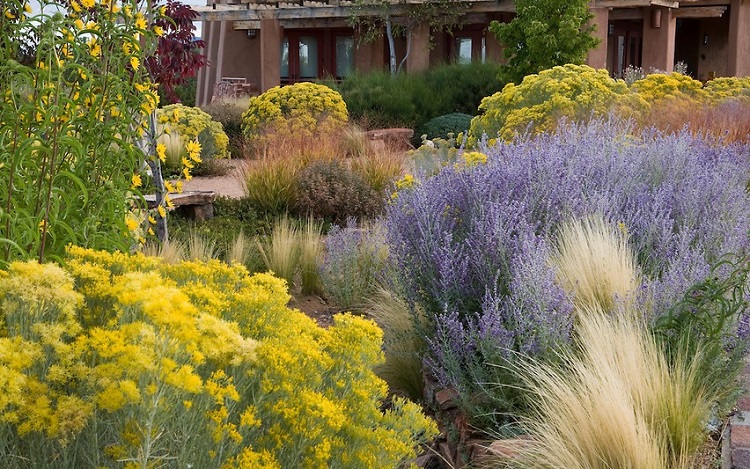 jardin bleu touches jaunes idée aménagement décoration plantation plantes