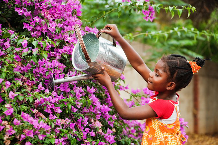 jardinage pour enfants arroser arbuste fleurs
