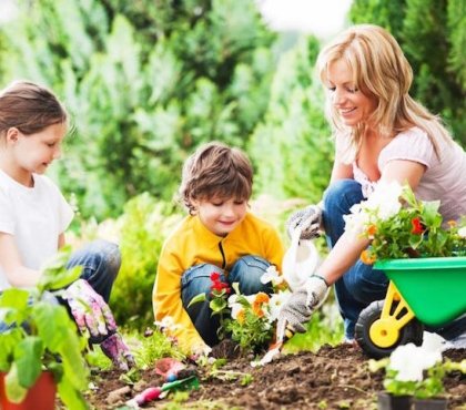 jardinage pour enfants entretien plantes a fleurs