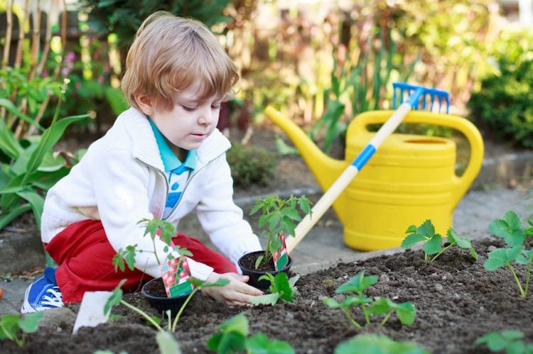 jardinage pour enfants petit garcon rempotage