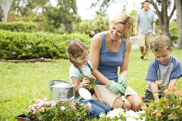 jardinage pour enfants rempotage fleurs