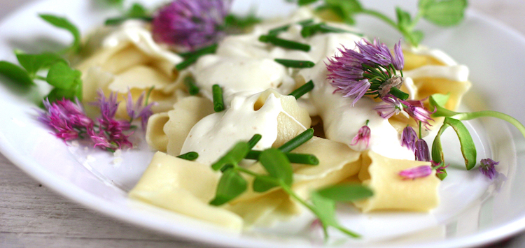 10 fleurs potagères comestibles pour égayer vos recettes - La Recette