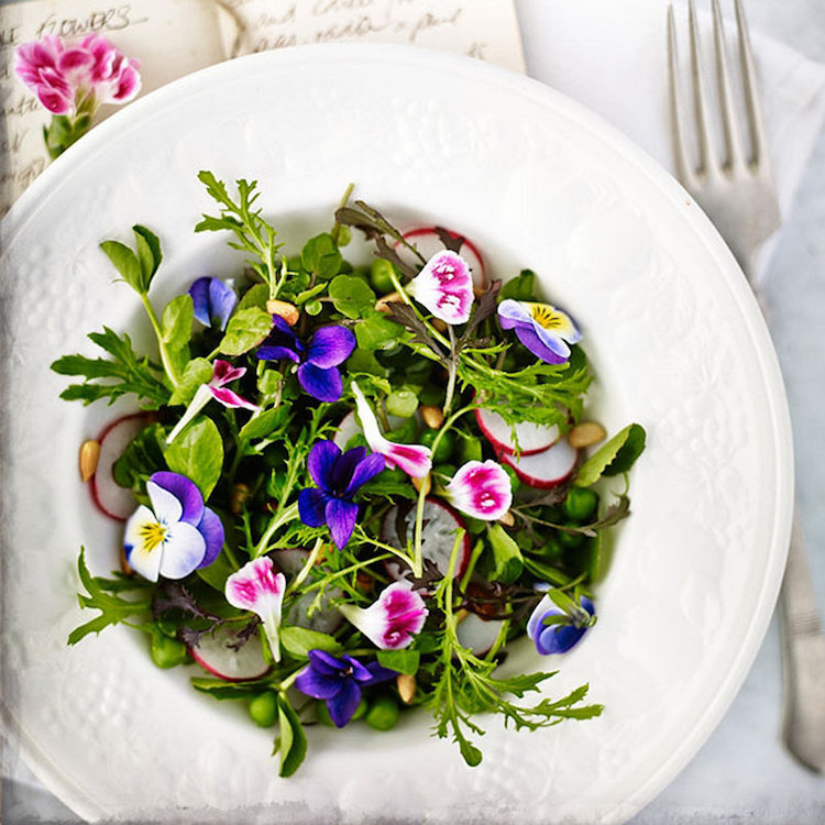 pensées et autres fleurs comestibles à ajouter dans la salade verte