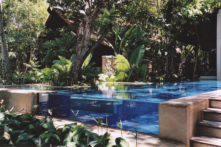 piscine paroi transparente vegetation luxuriante