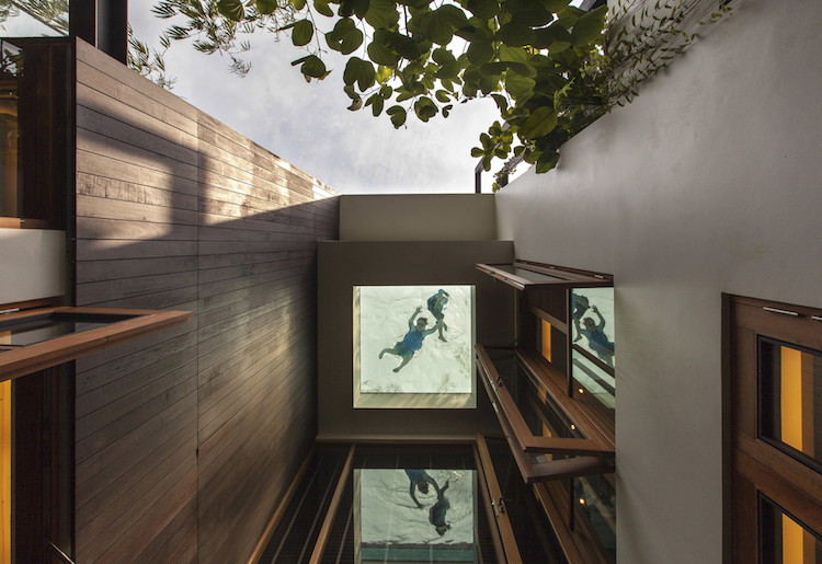 piscine transparente coque bois architecture contemporaine
