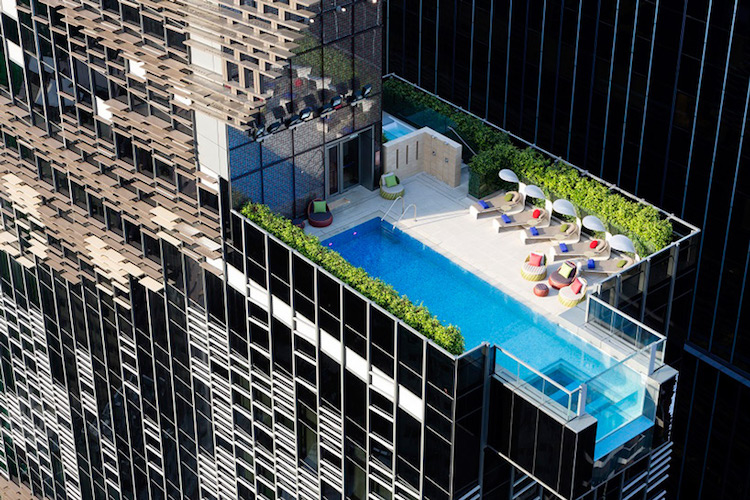 piscine transparente verre brise vue plantes vertes toit terrasse