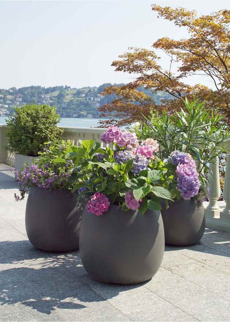 quel pot choisir grandes jardinieres hortensias