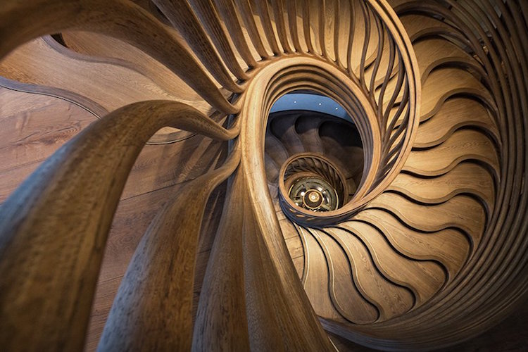 escalier colimaçon bois chef d'oeuvre de l'architecture d'intérieur organique