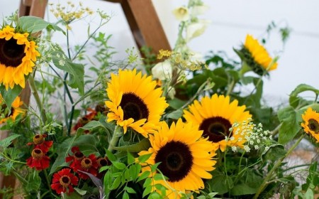 fleur de tournesol composition florale déco été