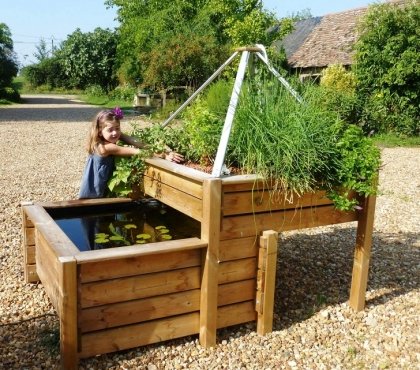 système aquaponique comment créer chez vous forme jardinage cultivage légumes fruits maison sans pesticides création mini écosystème