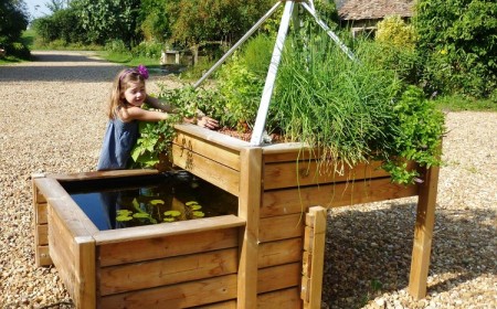 système aquaponique comment créer chez vous forme jardinage cultivage légumes fruits maison sans pesticides création mini écosystème