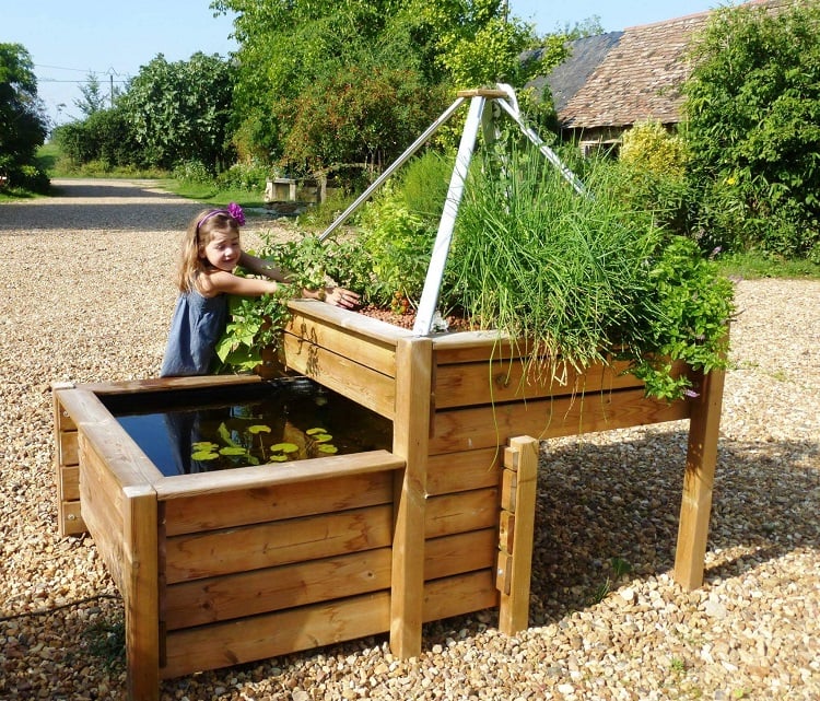 système aquaponique comment créer chez vous forme jardinage cultivage légumes fruits maison sans pesticides création mini écosystème